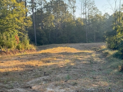296 Acre Timberland for Sale with Creek Southwest MS - image 17