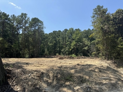 296 Acre Timberland for Sale with Creek Southwest MS - image 6