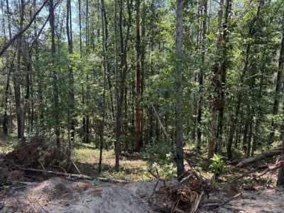 296 Acre Timberland for Sale with Creek Southwest MS - image 10