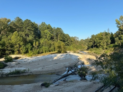 296 Acre Timberland for Sale with Creek Southwest MS - image 41