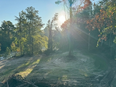 296 Acre Timberland for Sale with Creek Southwest MS - image 26