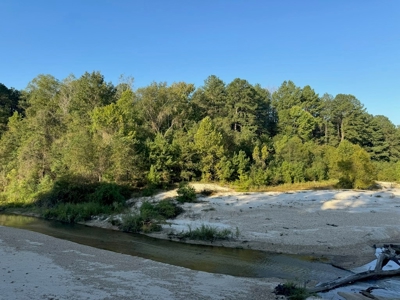 296 Acre Timberland for Sale with Creek Southwest MS - image 42