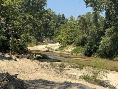 296 Acre Timberland for Sale with Creek Southwest MS - image 3