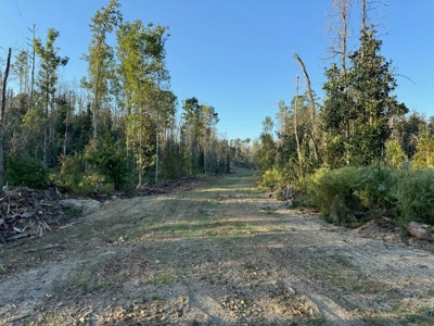 296 Acre Timberland for Sale with Creek Southwest MS - image 35