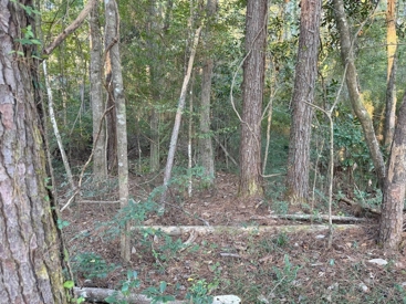 Listing 49