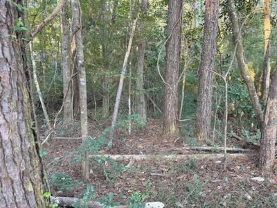 296 Acre Timberland for Sale with Creek Southwest MS - image 31