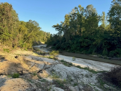 296 Acre Timberland for Sale with Creek Southwest MS - image 28