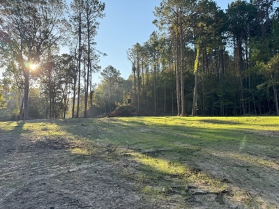 296 Acre Timberland for Sale with Creek Southwest MS - image 30