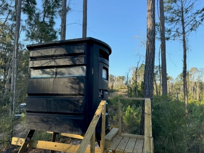 296 Acre Timberland for Sale with Creek Southwest MS - image 38
