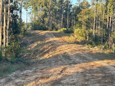 296 Acre Timberland for Sale with Creek Southwest MS - image 15