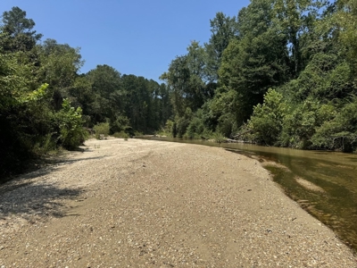 296 Acre Timberland for Sale with Creek Southwest MS - image 7