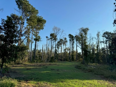 296 Acre Timberland for Sale with Creek Southwest MS - image 34