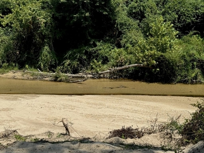 296 Acre Timberland for Sale with Creek Southwest MS - image 4