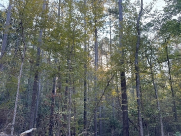 Listing 49