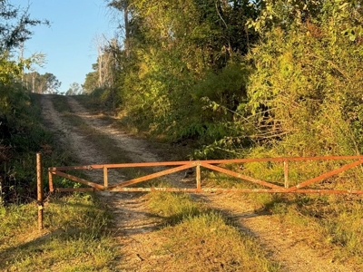 296 Acre Timberland for Sale with Creek Southwest MS - image 14