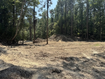 296 Acre Timberland for Sale with Creek Southwest MS - image 5