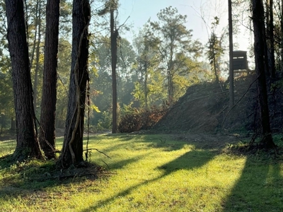 296 Acre Timberland for Sale with Creek Southwest MS - image 23