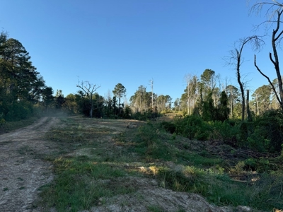 296 Acre Timberland for Sale with Creek Southwest MS - image 37