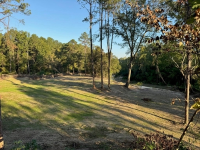 296 Acre Timberland for Sale with Creek Southwest MS - image 25