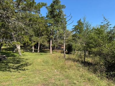 Home On Creek For Sale In Arkansas - image 31