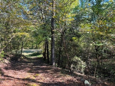 Home On Creek For Sale In Arkansas - image 32