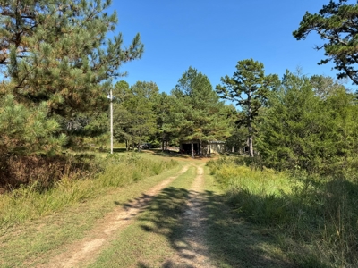 Home On Creek For Sale In Arkansas - image 39