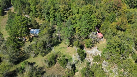 Home On Creek For Sale In Arkansas - image 38