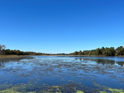 Cottage For Sale, Lower White River Mill Pond, Neshkoro - image 38
