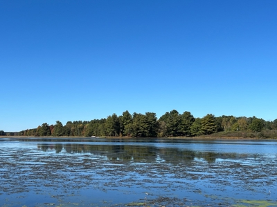 Cottage For Sale, Lower White River Mill Pond, Neshkoro - image 40