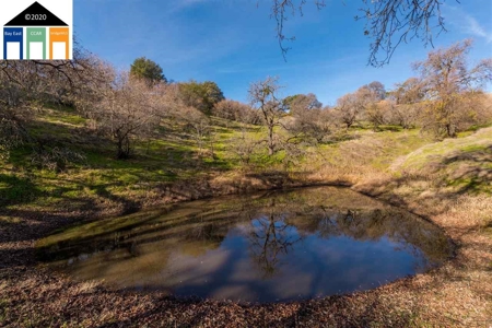 Stunning 135 +/- Acre Ranch in Vacaville, CA Ponds, Cabin! - image 4