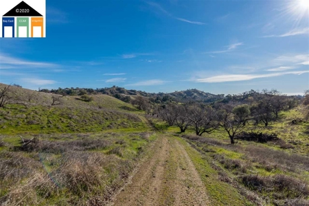 Stunning 135 +/- Acre Ranch in Vacaville, CA Ponds, Cabin! - image 28