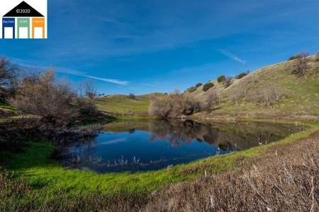 Stunning 135 +/- Acre Ranch in Vacaville, CA Ponds, Cabin! - image 2