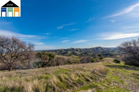 Stunning 135 +/- Acre Ranch in Vacaville, CA Ponds, Cabin! - image 26