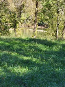 21.09 Acres in Eidson, Tennessee - image 3