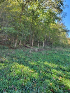 21.09 Acres in Eidson, Tennessee - image 5