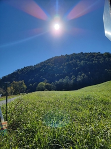 21.09 Acres in Eidson, Tennessee - image 7