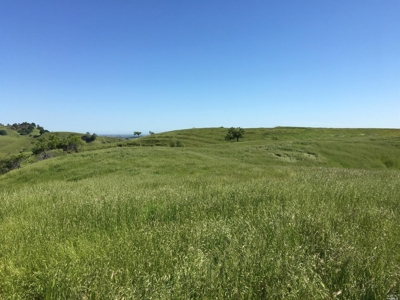 Private 20 Acre Ranch Vacaville, CA Views, Hilltop Gorgeous! - image 17