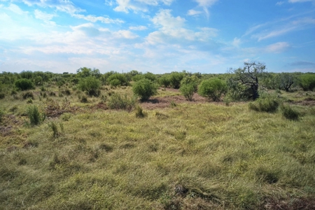 San Patricio County Acreage - image 7