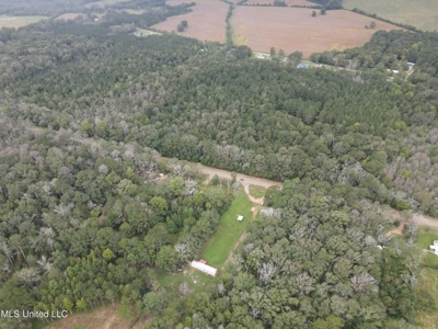 3 Acre Lot in Forest, MS - image 14