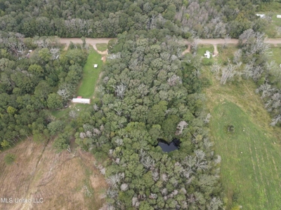3 Acre Lot in Forest, MS - image 13