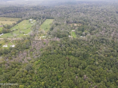 3 Acre Lot in Forest, MS - image 18