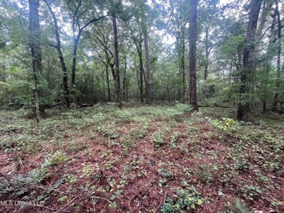 3 Acre Lot in Forest, MS - image 11