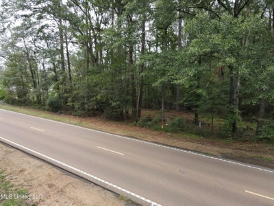 3 Acre Lot in Forest, MS - image 8
