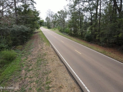 3 Acre Lot in Forest, MS - image 4