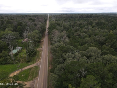 3 Acre Lot in Forest, MS - image 17