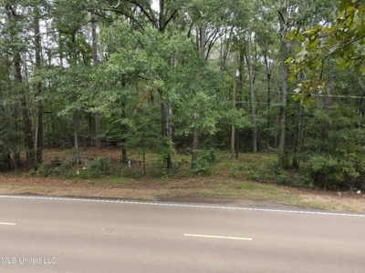 3 Acre Lot in Forest, MS - image 2