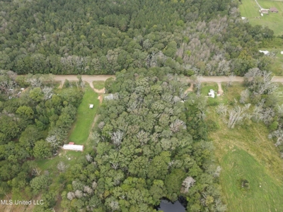 3 Acre Lot in Forest, MS - image 12