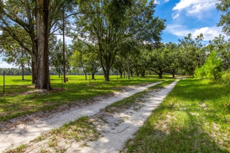 Recreational Property In Madison Florida, Land For Sale - image 9