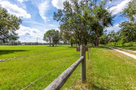 Recreational Property In Madison Florida, Land For Sale - image 10