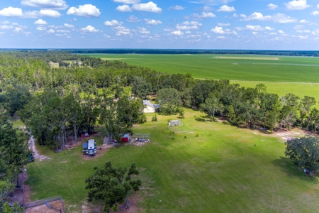 Recreational Property In Madison Florida, Land For Sale - image 5